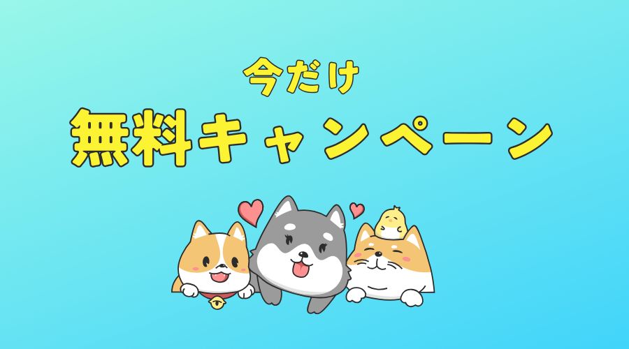 無料キャンペーン情報