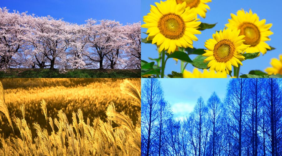 四季
