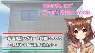 一条工務店のハグミーの外観について紹介している女性