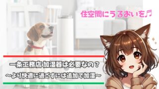 一条工務店の住宅で加湿器は必要なのか？解説している女性