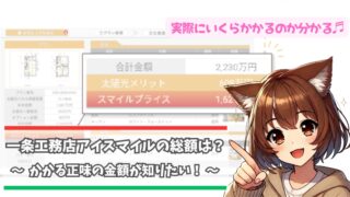 一条工務店アイスマイルの総額について解説している女性
