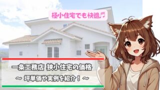 一条工務店の極小住宅の価格について紹介している女性