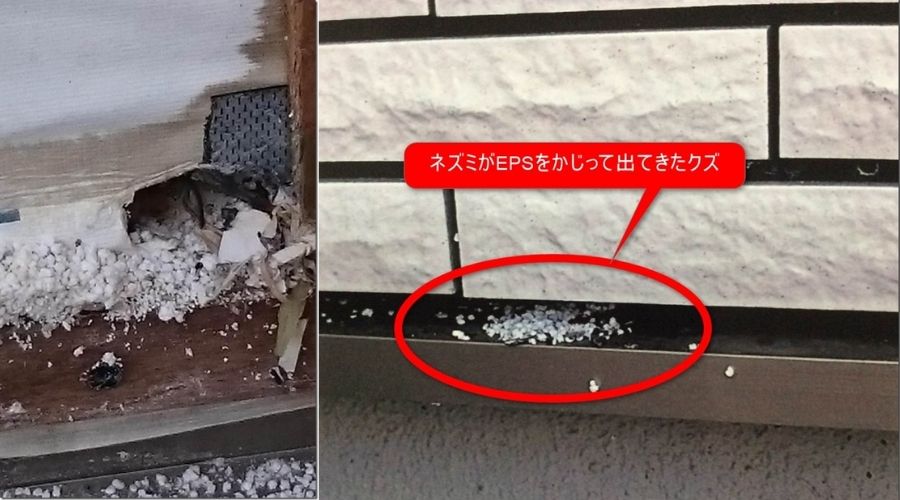 ネズミが家をかじった跡