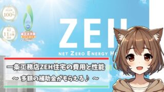 一条工務店のZEH住宅を紹介している女性