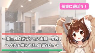 一条工務店のオプション金額一覧について紹介している女性